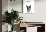 French Bulldog named Max in a modern living room interior