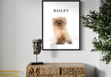 Persian kitten named Bailey in a modern interior with a carved wooden console, classical bust sculpture