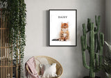 portrait of Daisy, an orange tabby cat, displayed in a bohemian-style interior with a wicker chair and tall cactus plant