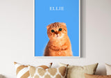 an orange tabby cat named Ellie with a blue background