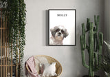 a Shih Tzu, displayed in a modern room with a cactus and wicker chair