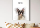 French Bulldog named Max in a modern interior