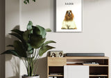 a Cocker Spaniel dog, displayed in a modern interior with a large potted plant and media console