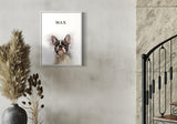 French Bulldog named Max in a modern minimalist interior with pampas grass decor