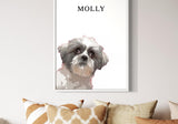 Framed custom pet portrait of Molly, a Shih Tzu dog