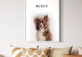 pet portrait of a Border Collie named Rusty in a cozy modern interior