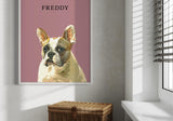 Freddy in a modern interior with pink background and wicker storage basket