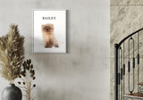 portrait of Bailey, a fluffy Pomeranian, displayed in a modern interior with pampas grass decor