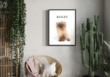 custom portrait of Bailey, a fluffy kitten, hanging on a stylish wall next to a cactus