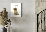 portrait of Bailey, a fluffy kitten, displayed in a modern interior with neutral tones, pampas grass decor, and a wrought iron staircase