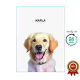 One Pet Portrait - Narla