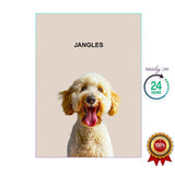 One Pet Portrait - Jangles