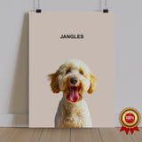 One Pet Portrait - Jangles