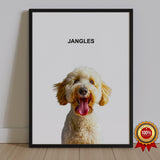 One Pet Portrait - Jangles