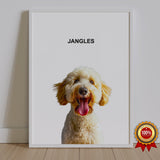 One Pet Portrait - Jangles