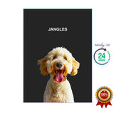 One Pet Portrait - Jangles