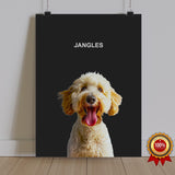 One Pet Portrait - Jangles