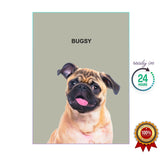 One Pet Portrait - Bugsy