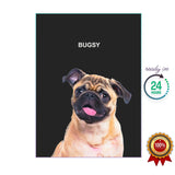 One Pet Portrait - Bugsy