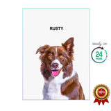 One Pet Portrait - Rusty