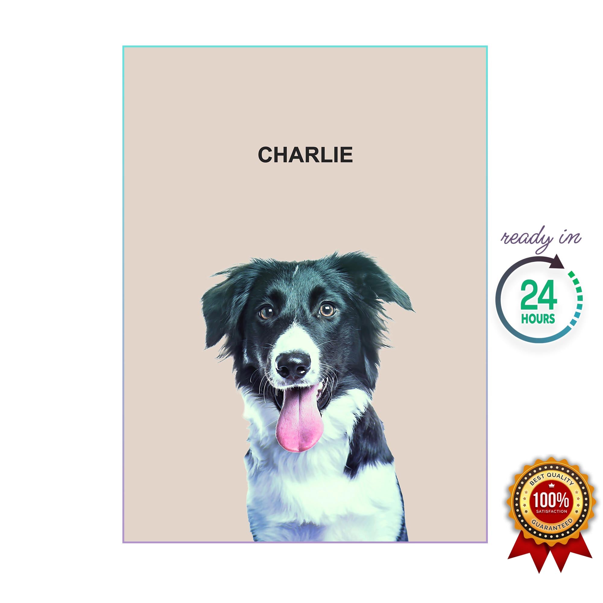 One Pet Portrait - Charlie