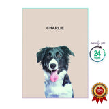 One Pet Portrait - Charlie