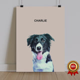 One Pet Portrait - Charlie