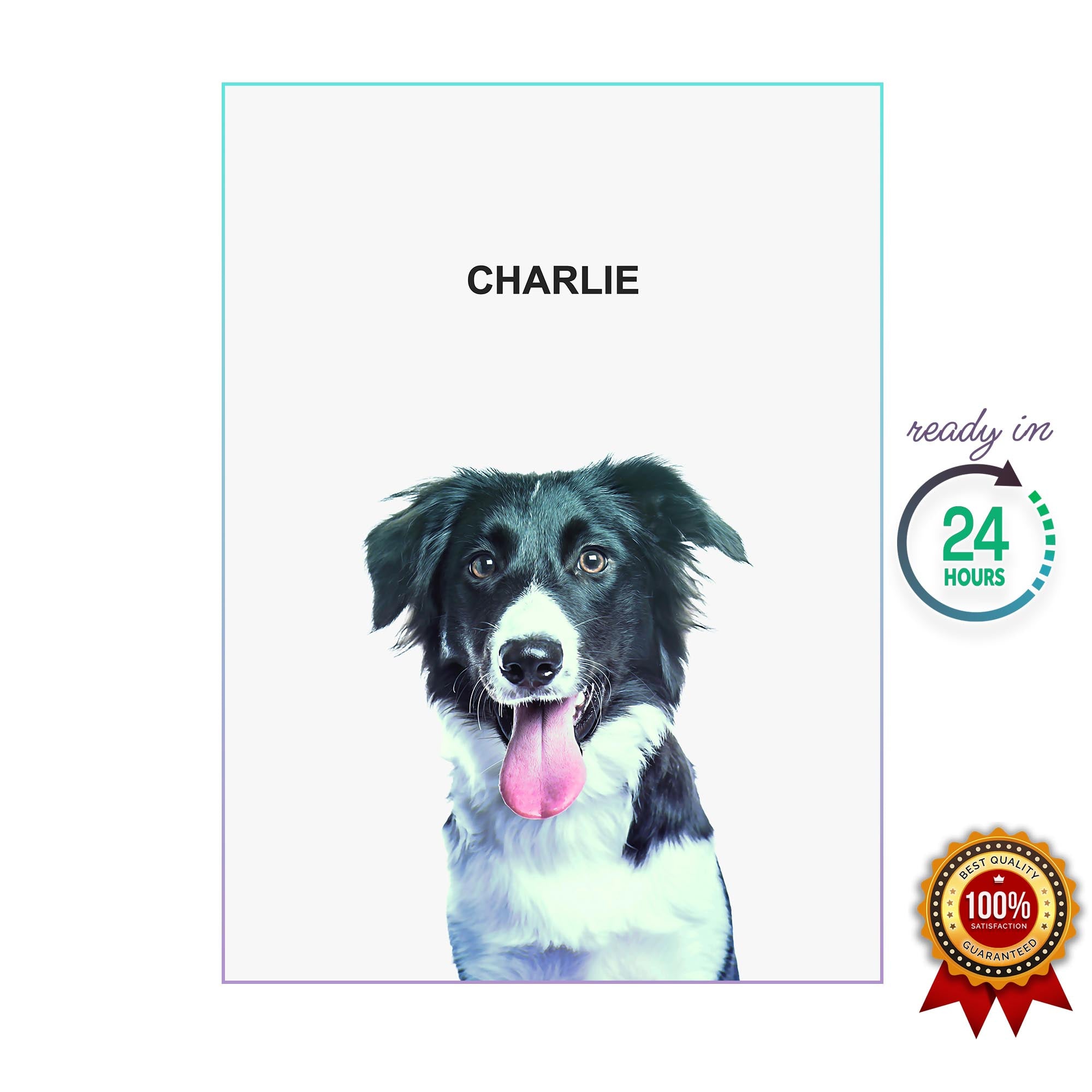 One Pet Portrait - Charlie