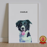 One Pet Portrait - Charlie