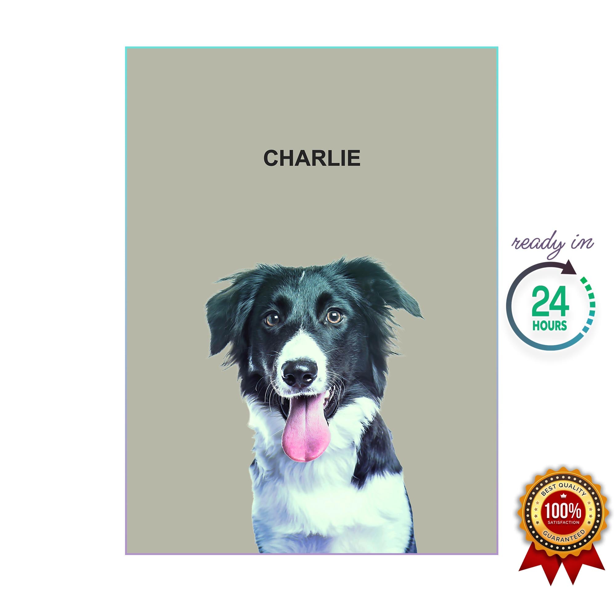 One Pet Portrait - Charlie