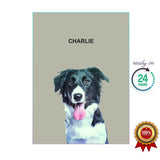 One Pet Portrait - Charlie