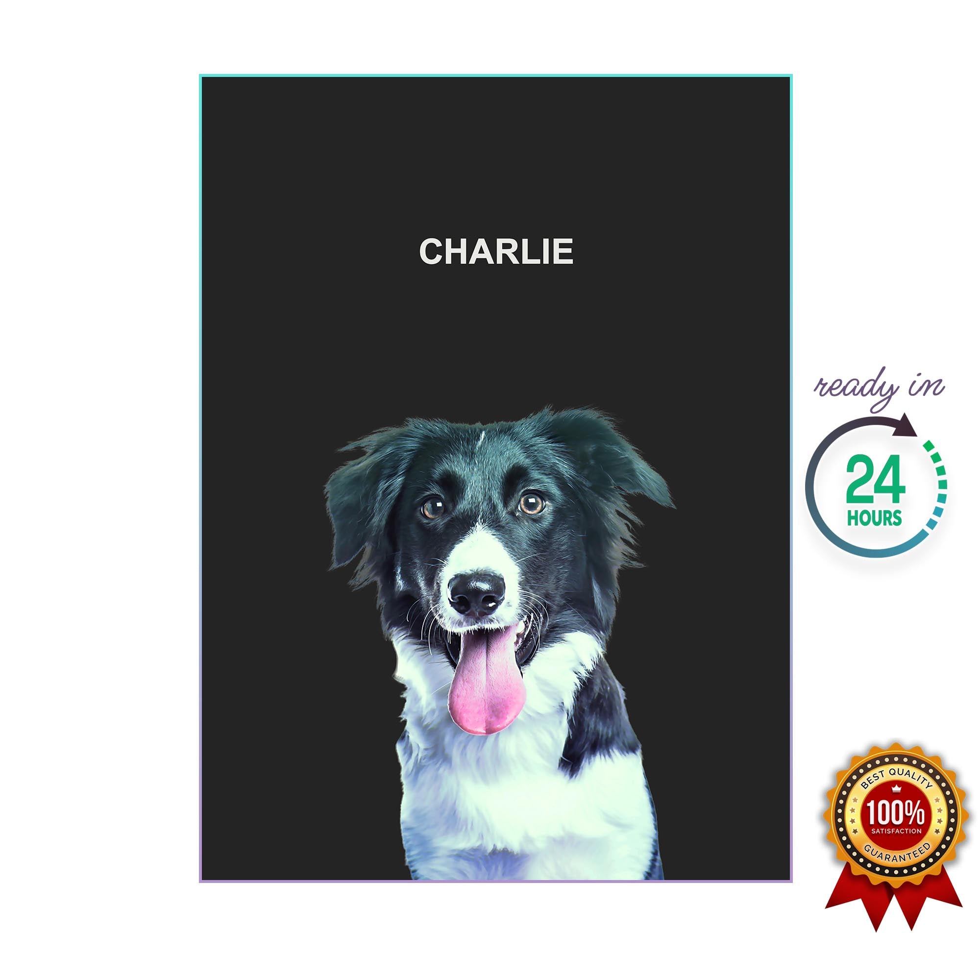 One Pet Portrait - Charlie