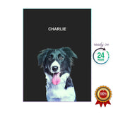 One Pet Portrait - Charlie