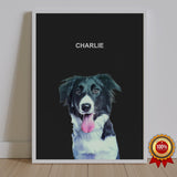 One Pet Portrait - Charlie