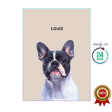 One Pet Portrait - Louie