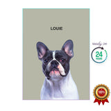 One Pet Portrait - Louie