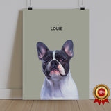 One Pet Portrait - Louie