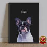 One Pet Portrait - Louie