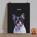 One Pet Portrait - Louie