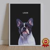 One Pet Portrait - Louie