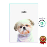 One Pet Portrait - Suzie