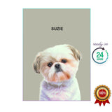 One Pet Portrait - Suzie