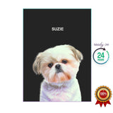 One Pet Portrait - Suzie