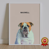 One Pet Portrait - Maxwell