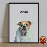 One Pet Portrait - Maxwell