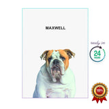 One Pet Portrait - Maxwell