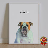 One Pet Portrait - Maxwell