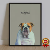 One Pet Portrait - Maxwell