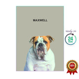 One Pet Portrait - Maxwell