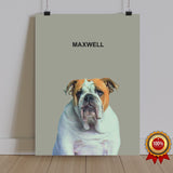 One Pet Portrait - Maxwell